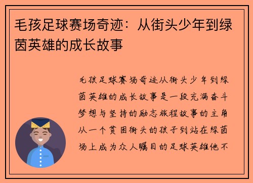 毛孩足球赛场奇迹：从街头少年到绿茵英雄的成长故事